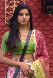 Bigg Boss Telugu Season 5 Contestant Priyanka Singh Biography