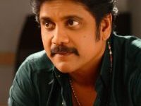 Bigg Boss Telugu Season 6 Host