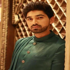 Bigg Boss Telugu Non Stop 24/7 Season 1 Contestants