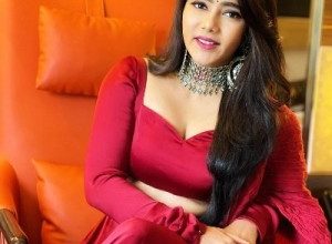 Bigg Boss Telugu Non Stop 24/7 Season 1 Contestant Mitraaw Sharma Biography