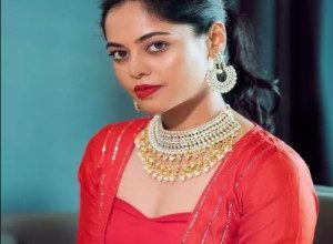 Bigg Boss Telugu Non Stop 24/7 Season 1 Contestant Winner Bindu Madhavi Biography
