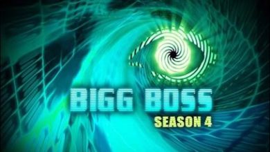Bigg Boss Hindi Season 4 Contestants
