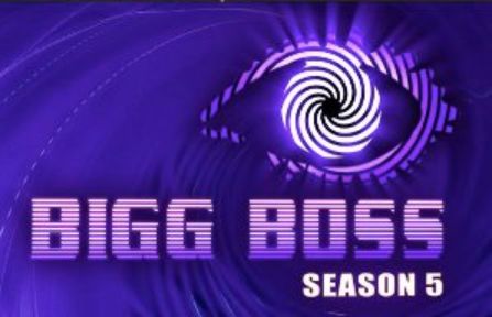 Bigg Boss Hindi Season 5 Contestants - Bigg Boss