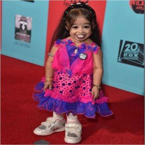 Bigg Boss Hindi season 6 Contestants