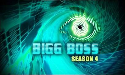 Bigg Boss Hindi Season 4 Contestants