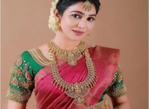 Bigg Boss Tamil Season 6 Contestant Sheriina Biography