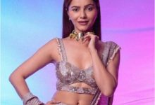 Bigg Boss Hindi Season 14 Contestant Winner Rubina Dilaik Biography