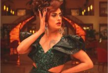 Bigg Boss Hindi Season 8 Contestant Sushant Divgikar Biography