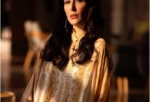 Bigg Boss Hindi Season 9 Contestant Mandana Karimi Biography