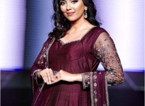 Bigg Boss Malayalam Season 5 Contestants Cerena Ann Johnson Biography