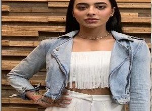 Bigg Boss Hindi Season 10 Contestant Runner Bani J Biography