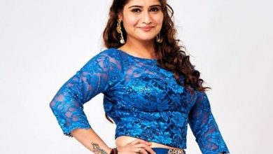 bigg-boss-hindi-season-13-contestant-arti-singh-biography