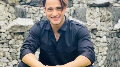 bigg-boss-hindi-season-13-contestant-asim-riaz-biography