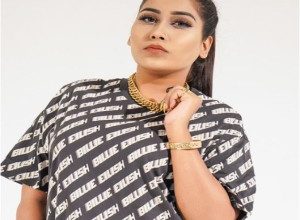 Bigg Boss Hindi Season 16 Contestant Afsana Khan Biography