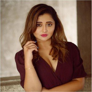 Bigg Boss Hindi Season 16 Contestant Rashami Desai Biography