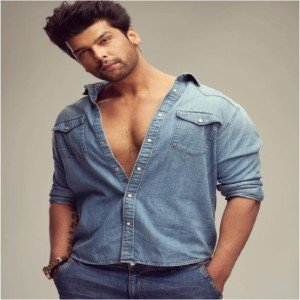 Bigg Boss Hindi Season 7 Contestant Kushal Tandon Biography