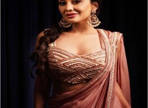 Bigg Boss Hindi Season 8 Contestant Minissha Lamba Biography