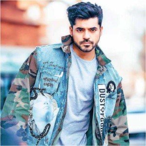 Bigg Boss Hindi Season 8 Contestants
