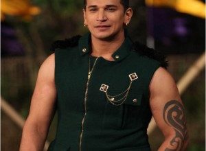 Bigg Boss Hindi Season 9 Contestant Winner Prince Narula Biography