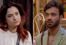 Bigg Boss Hindi 17 Day 101 Promo