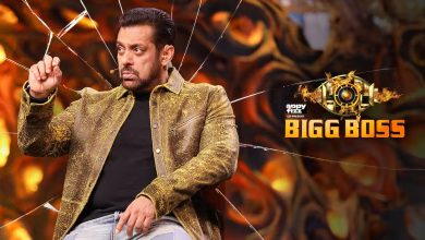 Bigg Boss Hindi 17 Finale Voting Results